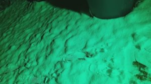 Декоративная подсветка для праздника!