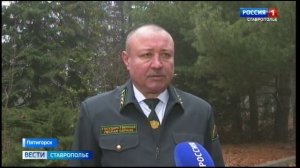 На Ставрополье взяли под круглосуточную охрану сосны и ели