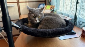 Влог с 15 по 24 декабря🎄🎄🎄 Стартовал проект «Вкусные мочалки», готовимся к новому году, шагаем)