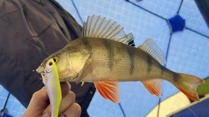 Первый лед 2025! Север Бурятии!