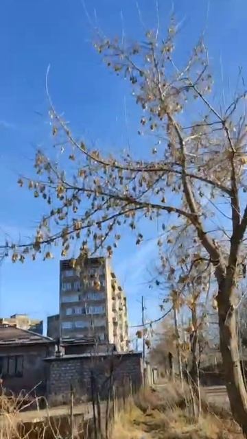 Hips don’t lie. #armenia #music #cavdtanem #steps #iarmen