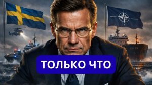 ПРЯМОЙ УДАР АЛЬЯНС БЕРЁТ БАЛТИКУ