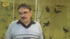 НАЧАЛЬНИК НАУЧНОГО ОТДЕЛА ЦЧЗ НИКОЛАЙ ДЕГТЯРЕВ РАССКАЗАЛ О НЮАНСАХ ПОВЕДЕНИЯ ЛЕБЕДЕЙ