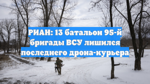 РИАН: 13 батальон 95-й бригады ВСУ лишился последнего дрона-курьера