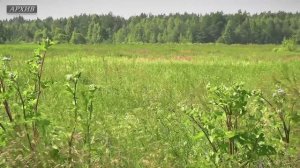 В Управлении Россельхознадхора по Тверской и Ярославской областям подвели предварительные итоги