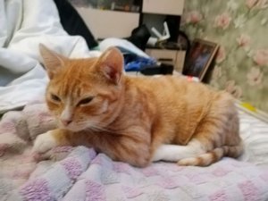 просто и хорошо