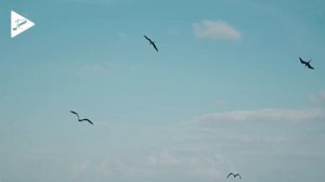 Inside Reason - Hurt.mp4