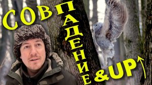 Сов падение. И подъём. Дневник натуралиста. 2 марта 2024 г.