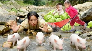 Собираем капусту вместе с ребенком а затем готовим для поросят. Торговля на рынке и садоводство