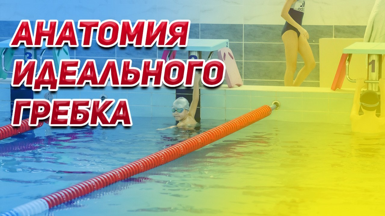 Анатомия идеального гребка 🏊♀️