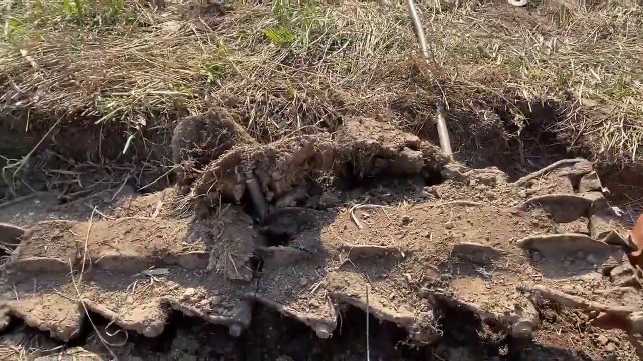 Вывезли целую ленту траков ! Металлокоп   #копметаллолома #металлоискатель