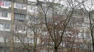 "Эффект Долиной" не повлиял на рынок вторичной недвижимости в Тверской области