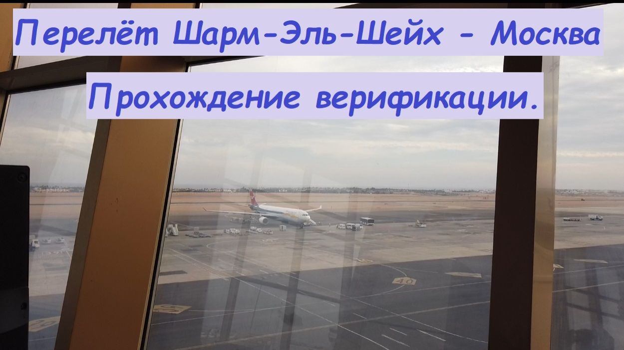 Перелет Египет-Москва * Прохождение верификации при возвращении домой / Россия, Москва смотреть онлайн