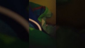 обзор на мою новогоднюю елку на праздник новый год! напишите комментарий с вами в чикен гане