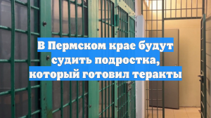 В Пермском крае будут судить подростка, который готовил теракты
