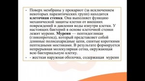 Видео-встреча по биологии 24.12.2025