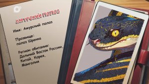 Агент биосферы / Амурский полоз / 24.12.25