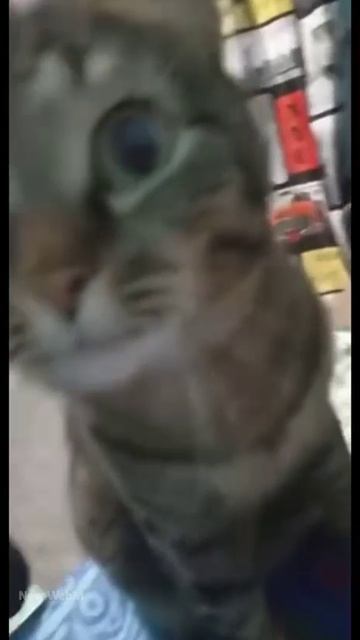 Победитель по жизни