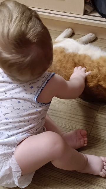 любимка мой