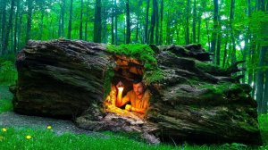 Я нашел гигантское полое бревно и превратил его в убежище своей мечты.