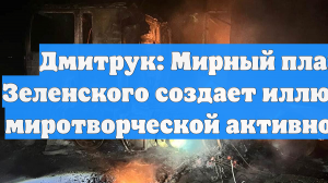 Дмитрук: Мирный план Зеленского создает иллюзию миротворческой активности