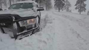 Мёрф освобождает плененных снегом. После жесткой метели.