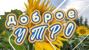 Доброе утро. Пусть день нас удачей встречает, песня с добрым утром