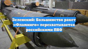 Зеленский: Большинство ракет «Фламинго» перехватывается российскими ПВО