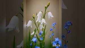 Всемирный день оптимизма !😊💃🕺🎈🎁🎉🥂🍾🍹🍫🍬