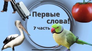 Запуск речи - Учимся говорить. 7 Часть