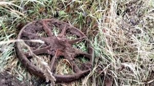 5.Металлокоп с Quest X5. Вдоль дорог ещë есть металл.