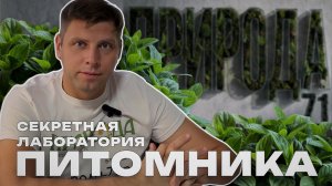 Секреты лаборатории, которые помогут получить здоровый черенок. Природа 71☘️