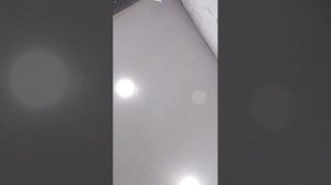 Жизнь в доме"… Хроника дня занимаюсь делами