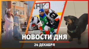 Новости Уфы и Башкирии 24.12.25: музей такс, праздник от «Башнефти» и матч «Салавата Юлаева»