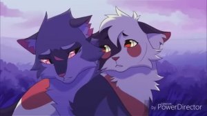 Dark side/Клип/Коты воители/