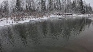 Хариус по Шуге на горной реке 08.11.2025🤠 Закрытие сезона жидкой воды 2025🐟👌😉😎