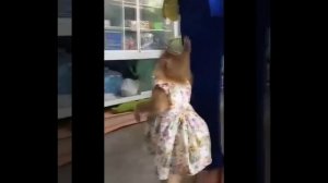 Видео от МЯУтаверс – как метавселенная, но с котами