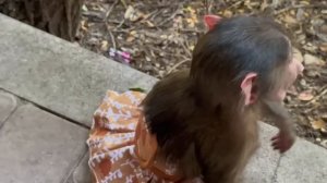 Терпение Басика ЛОПНУЛО и Анфисе прилетело за наглость)))