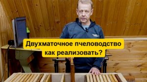 Двухматочное пчеловодство в ульях-лежаках возможно, как реализовать и эффективность