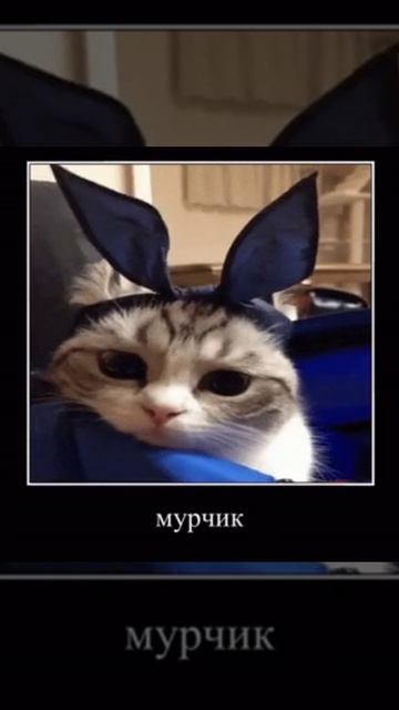 мурчик смотреть онлайн