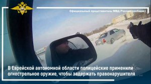 В ЕАО полицейские применили огнестрельное оружие, чтобы задержать правонарушителя