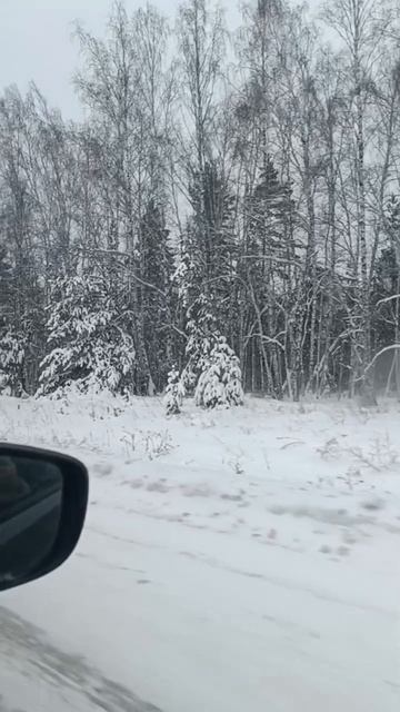 Трасса Тюмень -Екатеринбург. 21.12.2025г