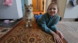 Катя с щенком