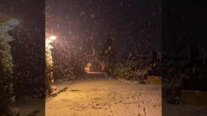 всех с наступающим новым годом 🎄, праздник уже не за горами,желаю хорошо провести праздник,вайбик❄️