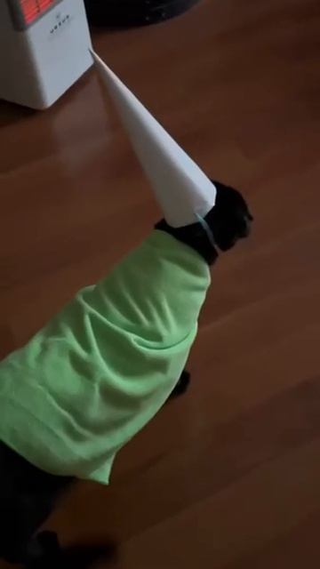 Волшебнички