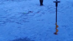 Основной водоём. на резину.