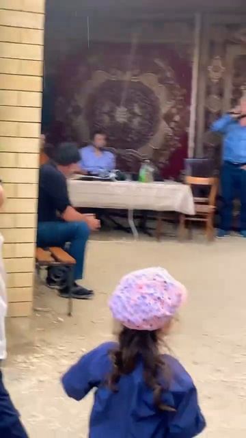 Заур Алибеков смотреть онлайн