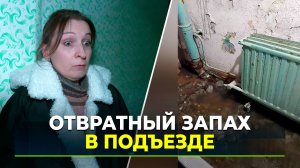 Жители дома в Новом Уренгое жалуются на запах канализации и нелегальный хостел