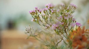 Ефимыч  - Щемящие сумерки позднего лета... (Х.Р.Хименес)