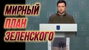 МИРНЫЙ ПЛАН ЗЕЛЕНСКОГО / ТАМИР ШЕЙХ . новости сводки